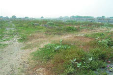 The area in Ranjit Avenue, E Block, in Amritsar waits to be converted into a park. 