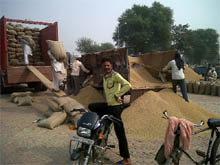 Lifting of paddy going on smoothly at Jaito in the Faridkot district on Friday. 