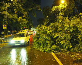 An uprooted tree at Janpath in New Delhi on Friday.