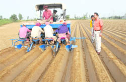 Acute scarcity of labour has made farmers shift to mechanised sowing of potato in the Doaba region. 