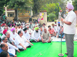 Rice shellers and arhtiyas stage a dharna in front of the market committee office at Mullanpur on Saturday.