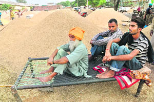 Farmers sit on a charpai at Khamano Mandi, waiting for the sale of paddy for the past one week.