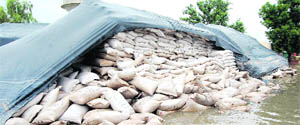 A file photograph of rotting wheat bags in Bani warehouse in Sirsa district