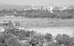 A view of vacant plots at the commercial centre in Sector 5, Panchkula.