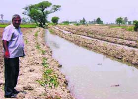 Land evacuated by the Forest Department at Old Nardak Dity, Ridge Work (JBIC), in Karnal district