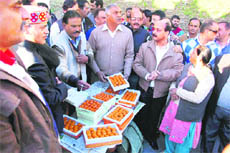 Congress supporters celebrate the selection of Kaul Singh Thakur as HPCC chief in Shimla on Wednesday.