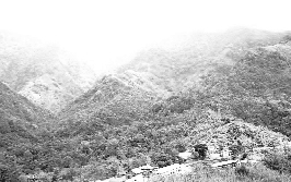 A view of Jatinga ridge in Assams North Cachar Hill district.