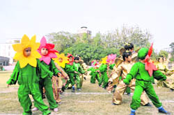 Tiny tots perform at the annual sports day of the Asian School in Dehradun on Friday. 