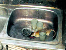 In the canteen at the Sector-16 Government Multi-Speciality Hospital, rats were seen feasting on food on Friday night. Ironically, the canteen is located below the office of the UT Director Health Services, Medical Superintendent and adjacent to the UT Prevention of Food Adulteration Department