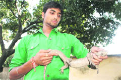 Abhishek, member of EFFECT, with a monitor lizard in Dehradun on Wednesday