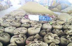 A labourer takes a nap on sacks of paddy at the Fatehabad grain market.