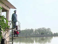 A farmer guards his fish pond in Sirhind.