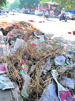 What a waste: Divali garbage littered in Sector 47, Chandigarh