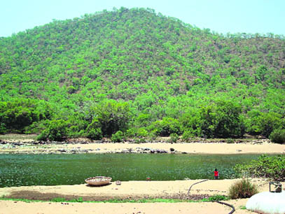 The life-giving Cauvery is probably the only place on earth where the mahseer, king of fish, is found in plenty