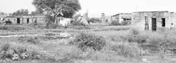 Illegal structures near the boundary wall of the Chandigarh Air Force station. 
