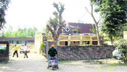 The 200-year-old building near Kharar police station, which serves as Mohalis only government vet clinic, is in a dilapidated state.