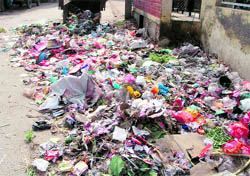 A view of the heap of garbage dumped on College Road in Doraha