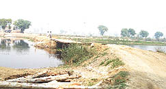 Mohar Jamsher village: The newly- constructed wooden bridge constructed over the creek of Sutlej by residents of Mohar Jamsher village, bordering Pakistan from three sides.