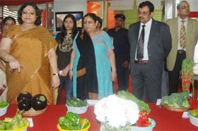 Genetically modified vegetables on display at the Haryana pavilion of the India International Trade Fair in New Delhi