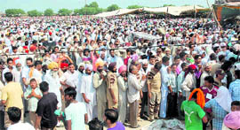 A file photo of people awaiting their turn for donating blood at Sirsa on August 8; and (right) a copy of the certificate of the Guinness Book of World Records issued to the Dera Sacha Sauda.