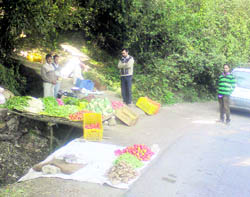 A grower sells vegetables near Kandaghat