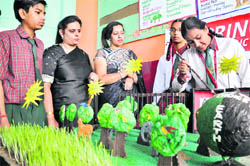 Students display a science model during an exhibition at Spring Dales school in Ludhiana. 