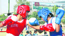 Pugilists in action during the Punjab State Rural Games in Ludhiana.