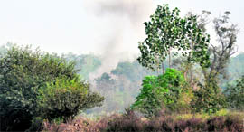 Smoke billows after a scrap bomb is detonated by the Army in the Mattewara forest area in Ludhiana on Tuesday.