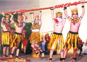 Students of BCM Arya Model Senior Secondary School perform at the schools annual function in Ludhiana