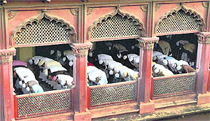 Faith beckons: Devotees offer 'namaz' on the occasion of Id-ul-Zuha at Nakhoda mosque in Kolkata on Wednesday.