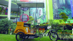 A solar energy rickshaw outside the Haryana Pavilion in IITF-2010 at Pragati Maidan in New Delhi on Thursday.