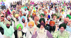 Farmers raise slogans against the government move to acquire 150 acres of land at Gill village, outside the GLADA office in Ludhiana