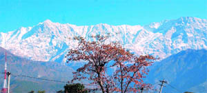 A view of Dhauladhar range in Kangra district.