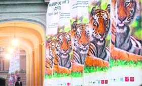 Posters of the International Tiger Forum outside the conference hall in St Petersburg