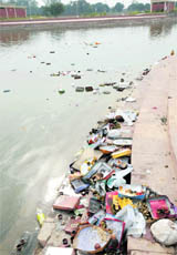 Puja material dots the lake in Sector 42, Chandigarh, on Monday.