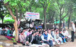 Activists of the youth wing of the Rashtriya Nav Chetna stage a protest near the district secretariat in Rewari. 