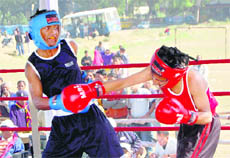 A bout in the 56th National School Boxing Championship in progress in Dehradun on Tuesday