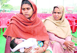 Kamalpreet Kaur, whose soldier husband lost his life in an ambush by militants in the Uri sector of Kashmir last month, with her baby at the veterans rally of the Army in Bathinda on Tuesday.