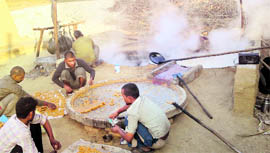 Workers preparing jaggery at a unit located on the Ludhiana-Jalandhar road on Wednesday