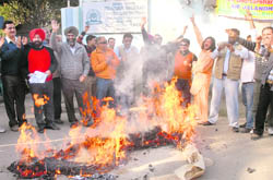 Protesting members of the National Federation of Akashvani and Doordarshan Employees burn an effigy of Prasar Bharati at AIR, Jalandhar, on Wednesday