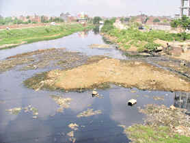 A view of Buddha Nullah in Ludhiana. 