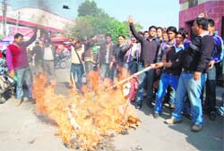 Workers of the Parvatiya Nav Nirman Sena burn an effigy of the state government at the Clock Tower in Dehradun on Saturday. 