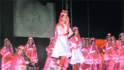 Students of Bal Bharati Public School perform at the schools annual function in Ludhiana