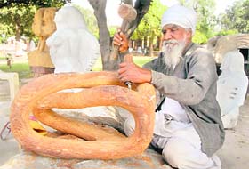 Amrik Singh Namdhari  Photo: Vinay Malik