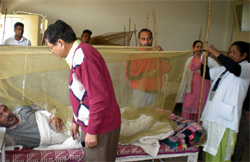 Senior medical officer Dr Vinod Kumar listening to a dengue patient as the hospital staff instals mosquito nets in a dengue ward at the Civil Hospital in Bathinda