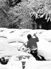 THE CHILL FACTOR: A man clears snow from a car in Epsom, south England, on Thursday.