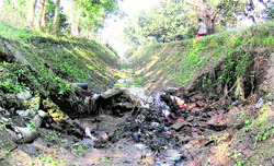 Even though the Irrigation Department has spent huge funds on its upkeep, the Shah Nehar (lower) along the Mukerian-Hajipur road is badly maintained