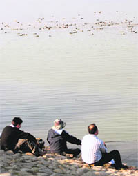 Winged guests shy away from the shore, much to the disappointment of daily visitors to the Sukhna, as fishing enthusiasts occupy their landing areas in search of game.