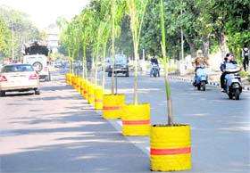 Flowerpots placed on a road divider at Panjab University in Chandigarh. The development comes in the wake of a forthcoming visit by a UGC team on Monday.