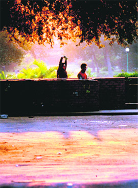 The golden light of the sun making a beautiful painting effect in the evening in Chandigarh on Tuesday. Tribune photo: Vicky Gharu
